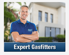 Expert Gasfitters Meadowbank